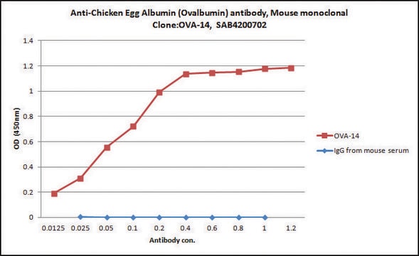 Anti-Chicken Egg Albumin (Ovalbumin) antibody, Mouse monoclonal clone OVA-14, purified from hybridoma cell culture