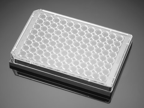 Corning&#174; BioCoat&#8482; (Matrigel&#174;) Angiogenesis System: Microplate well size 96&#160;wells, clear black wells