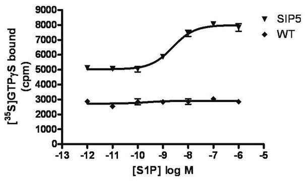 ChemiSCREEN Membrane Preparation Recombinant Human S1P5 Lysophospholipid Receptor Human S1P5 / EDG8 GPCR membrane preparation for Radioligand binding Assays &amp; GTP&#947;S binding.