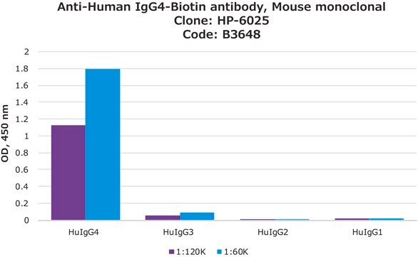 Anti-Human IgG4&#8722;Biotin antibody, Mouse monoclonal clone HP-6025, purified from hybridoma cell culture