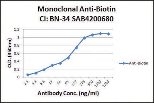 Anti-Biotin antibody, Mouse monoclonal clone BN-34, purified from hybridoma cell culture