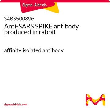 Anti-SARS SPIKE antibody produced in rabbit affinity isolated antibody