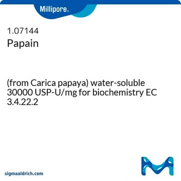 Papain (from Carica papaya) water-soluble 30000 USP-U/mg for biochemistry EC 3.4.22.2