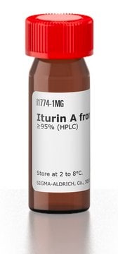 Iturin A from Bacillus subtilis &#8805;95% (HPLC)