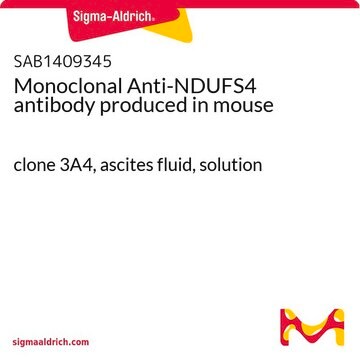 Monoclonal Anti-NDUFS4 antibody produced in mouse clone 3A4, ascites fluid, solution