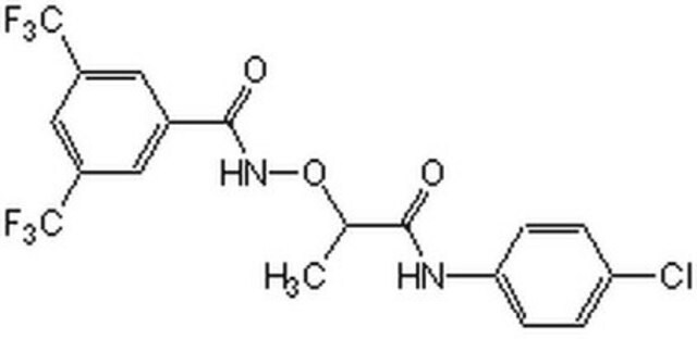 Rho/SRF Pathway Inhibitor, CCG-1423 The Rho/SRF Pathway Inhibitor, CCG-1423, also referenced under CAS 285986-88-1, controls the biological activity of Rho/SRF. This small molecule/inhibitor is primarily used for Cell Structure applications.