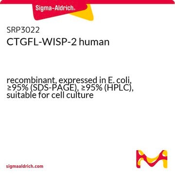 CTGFL-WISP-2 human recombinant, expressed in E. coli, &#8805;95% (SDS-PAGE), &#8805;95% (HPLC), suitable for cell culture