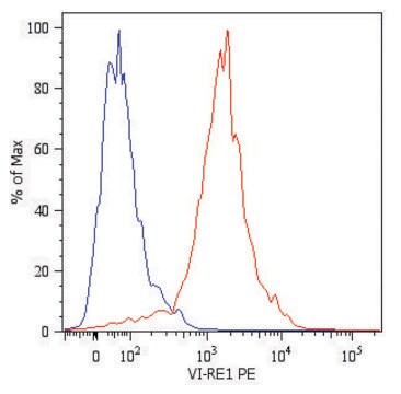 Monoclonal Anti-VIM-PE antibody produced in mouse clone VI-RE/1, purified immunoglobulin, buffered aqueous solution