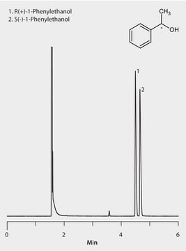 GC Analysis of 1-Phenylethanol Enantiomers on Astec&#174; CHIRALDEX&#8482; B-PM suitable for GC