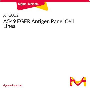 A549 EGFR Antigen Panel Cell Lines