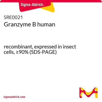 Granzyme B human recombinant, expressed in insect cells, &#8805;90% (SDS-PAGE)