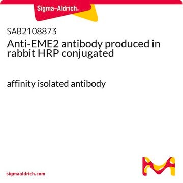 Anti-EME2 antibody produced in rabbit HRP conjugated affinity isolated antibody