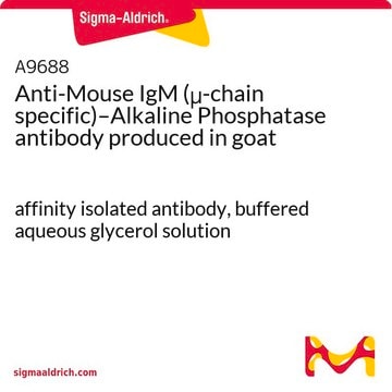 Anti-Mouse IgM (&#956;-chain specific)–Alkaline Phosphatase antibody produced in goat affinity isolated antibody, buffered aqueous glycerol solution