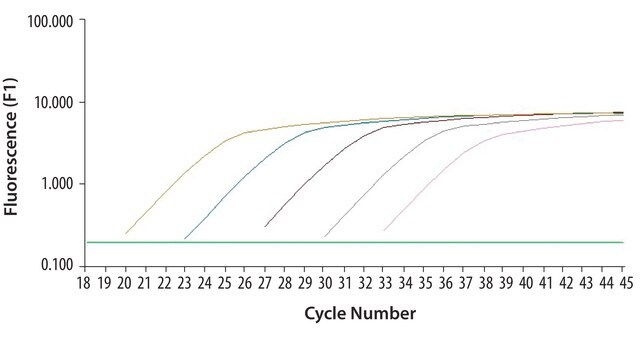 SYBR&#174; Green JumpStart&#8482; Taq ReadyMix&#8482; for Quantitative PCR, Capillary Formulation SYBR&#174; Green qPCR reagent for Roche LightCycler&#174; capillary systems