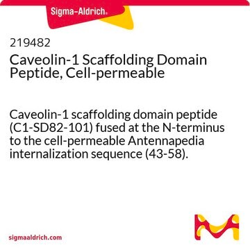 Caveolin-1 Scaffolding Domain Peptide, Cell-permeable Caveolin-1 scaffolding domain peptide (C1-SD82-101) fused at the N-terminus to the cell-permeable Antennapedia internalization sequence (43-58).