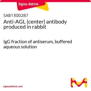 Anti-AGL (center) antibody produced in rabbit IgG fraction of antiserum, buffered aqueous solution