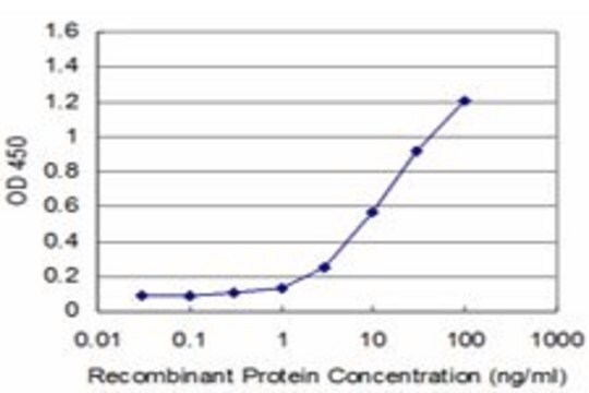 Monoclonal Anti-EN1 antibody produced in mouse clone 3E5, purified immunoglobulin, buffered aqueous solution