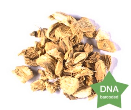 Zingiber officinale Rhizome Botanical reference material