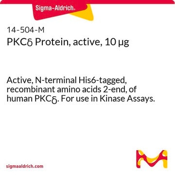 PKC&#948; Protein, active, 10 &#181;g Active, N-terminal His6-tagged, recombinant amino acids 2-end, of human PKC&#948;. For use in Kinase Assays.