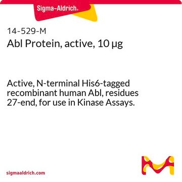 Abl Protein, active, 10 &#181;g Active, N-terminal His6-tagged recombinant human Abl, residues 27-end, for use in Kinase Assays.