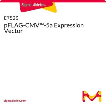 pFLAG-CMV&#8482;-5a Expression Vector