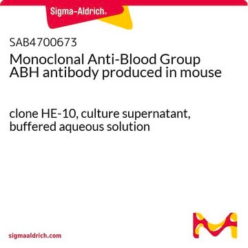 Monoclonal Anti-Blood Group ABH antibody produced in mouse clone HE-10, culture supernatant, buffered aqueous solution