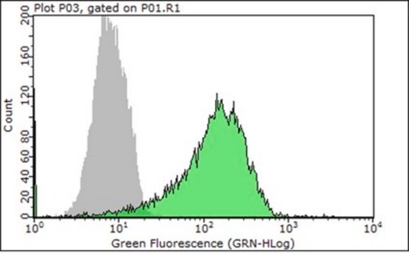 Anti-Integrin &#946;4 Antibody, clone ASC-8 (Azide Free) clone ASC-8, Chemicon&#174;, from mouse