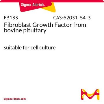 Fibroblast Growth Factor from bovine pituitary suitable for cell culture