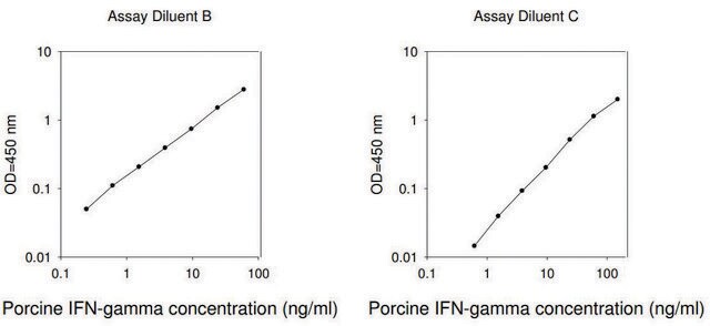 Porcine IFN &#947; ELISA Kit for serum, plasma and cell culture supernatant