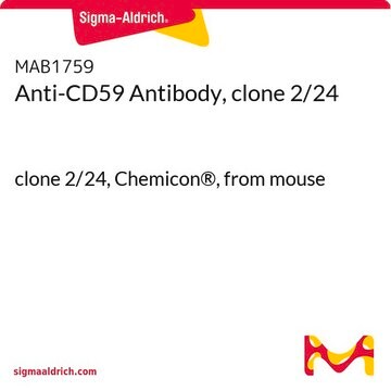 Anti-CD59 Antibody, clone 2/24 clone 2/24, Chemicon&#174;, from mouse