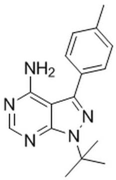 Src Inhibitor, PP1 The Src Inhibitor PP1, also referenced under CAS 172889-26-8, controls the biological activity of Src. This small molecule/inhibitor is primarily used for Phosphorylation &amp; Dephosphorylation applications.