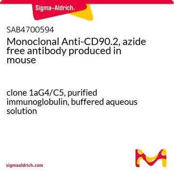 Monoclonal Anti-CD90.2, azide free antibody produced in mouse clone 1aG4/C5, purified immunoglobulin, buffered aqueous solution