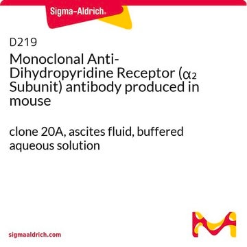 Monoclonal Anti-Dihydropyridine Receptor (&#945;2 Subunit) antibody produced in mouse clone 20A, ascites fluid, buffered aqueous solution