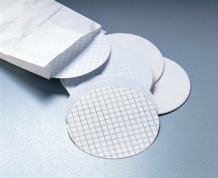 SO-Pak Filters 0.45&#181;m 47mm white gridded Microbiological analysis