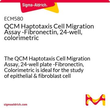 QCM Haptotaxis Cell Migration Assay -Fibronectin, 24-well, colorimetric The QCM Haptotaxis Cell Migration Assay, 24-well plate -Fibronectin, Colorimetric is ideal for the study of epithelial &amp; fibroblast cell haptotaxis.