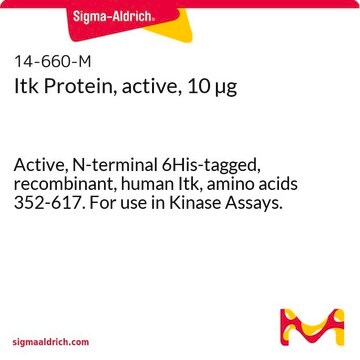 Itk Protein, active, 10 &#181;g Active, N-terminal 6His-tagged, recombinant, human Itk, amino acids 352-617. For use in Kinase Assays.