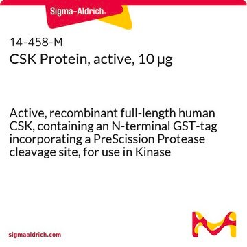 CSK Protein, active, 10 &#181;g Active, recombinant full-length human CSK, containing an N-terminal GST-tag incorporating a PreScission Protease cleavage site, for use in Kinase Assays.