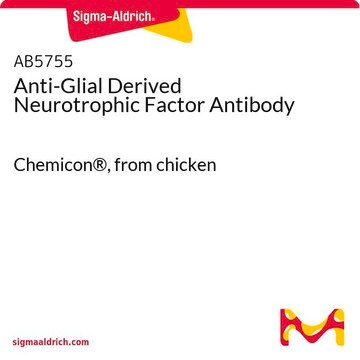 Anti-Glial Derived Neurotrophic Factor Antibody Chemicon&#174;, from chicken