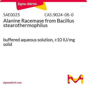 Alanine Racemase from Bacillus stearothermophilus buffered aqueous solution, &#8805;10&#160;IU/mg solid