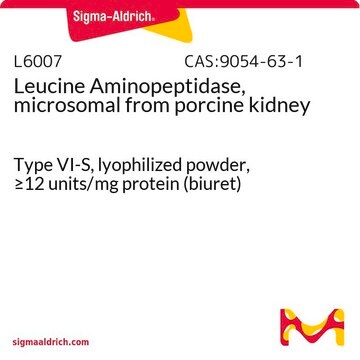 Leucine Aminopeptidase, microsomal from porcine kidney Type VI-S, lyophilized powder, &#8805;12&#160;units/mg protein (biuret)