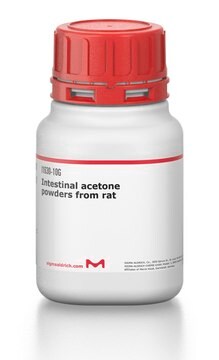 Intestinal acetone powders from rat