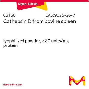 Cathepsin D from bovine spleen lyophilized powder, &#8805;2.0&#160;units/mg protein