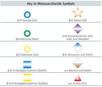 A2F Glycan ammonium salt from Porcine thyroglobulin, &#8805;90%