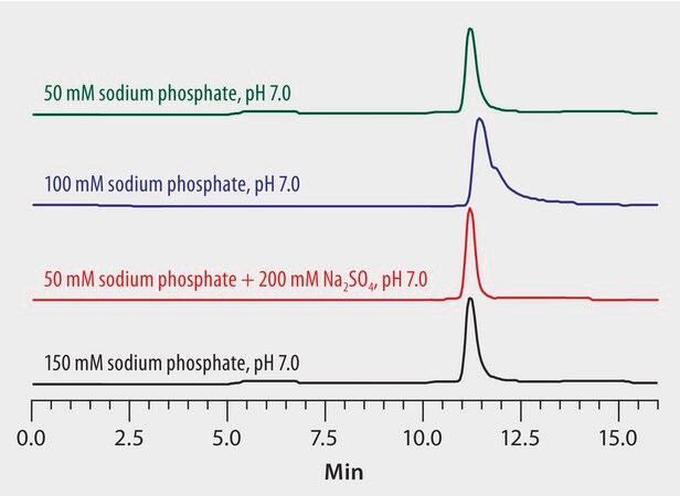 Mobile Phase Optimization in the Analysis of Lysozyme on Zenix&#174; SEC-300 application for HPLC