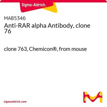 Anti-RAR alpha Antibody, clone 76 clone 763, Chemicon&#174;, from mouse