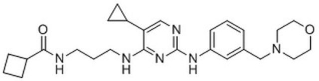 IKK&#949;/TBK1 Inhibitor II, MRT67307