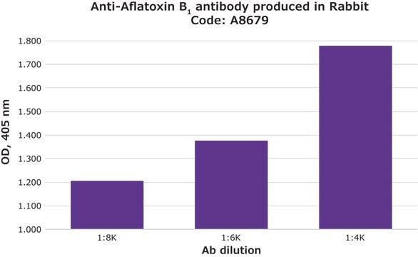 Anti-Aflatoxin B1 antibody produced in rabbit fractionated antiserum, buffered aqueous solution