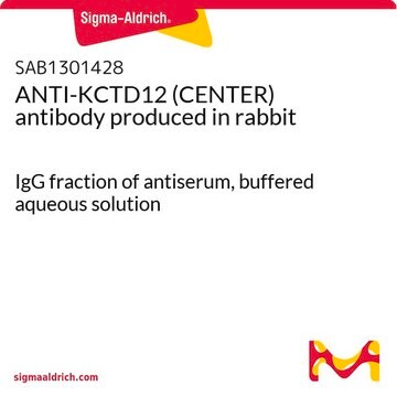 ANTI-KCTD12 (CENTER) antibody produced in rabbit IgG fraction of antiserum, buffered aqueous solution