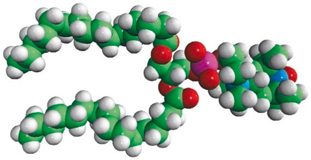 16:0 Tempo PC Avanti Research&#8482; - A Croda Brand 810606P, powder