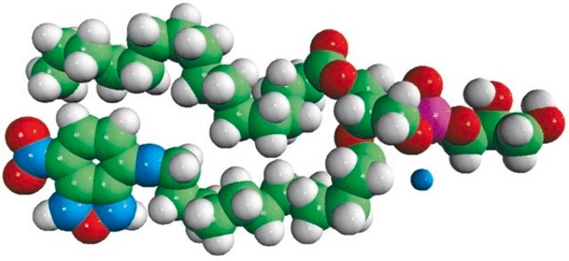 16:0-12:0 NBD PG Avanti Research&#8482; - A Croda Brand 810164P, powder